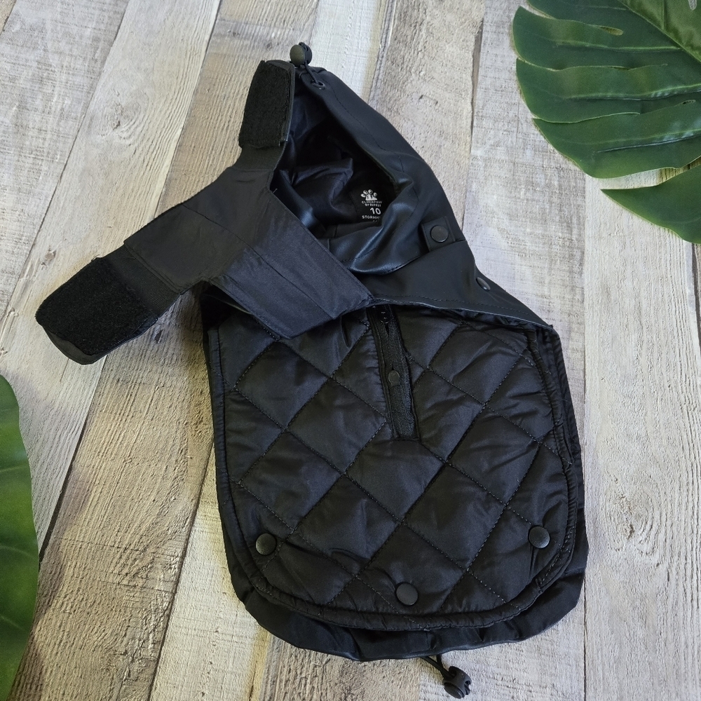 RIFRUF | Stormhunter Dog Raincoat in Truffle (black) sz 10 - Picture 2 of 10